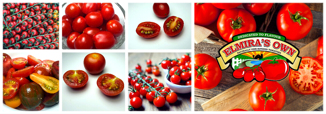 New Vendor! Elmira's Own Tomatoes