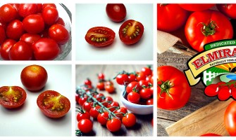 New Vendor! Elmira's Own Tomatoes
