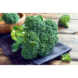 Broccoli - Organic - Pfennings ON - Case 14 