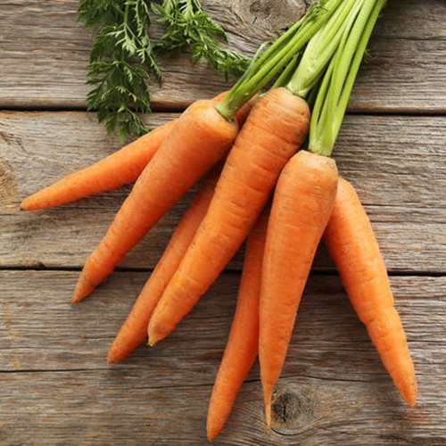 Carrots - Organic -  ON - 50 lbs