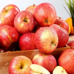 Apple - Gala - Organic - Ontario - 88 Count