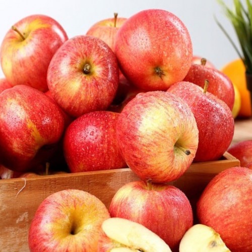 Apple - Gala - Organic - Ontario - 88 Count