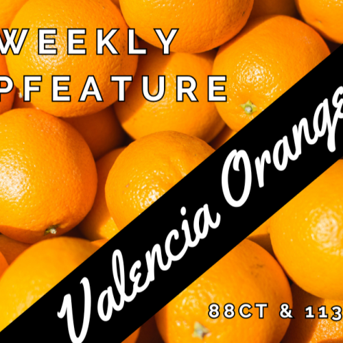 Orange - Valencia - Organic - 113 Count