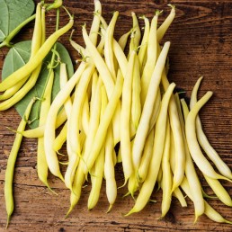 Beans - Yellow - Organic - Pfennings ON - 1/2  Bushel 