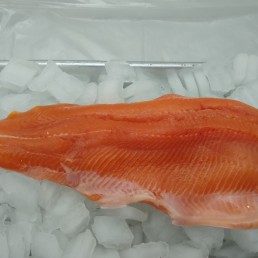 Fresh Rainbow Trout Fillet (1LB)
