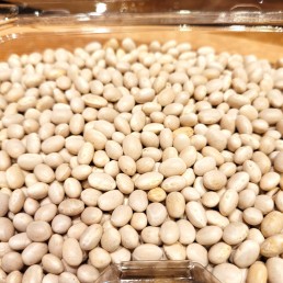 Navy Beans (per lb.) 