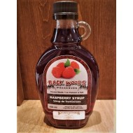 Local Homemade Fruit Syrups - 4 flavors