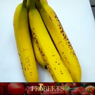 Bananas - bunch (price/lb, bunches vary in weight)