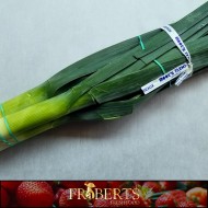 Leeks - bunch