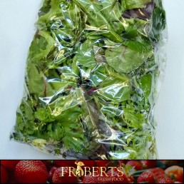 Spring Mix - Locally Grown - (1lb)
