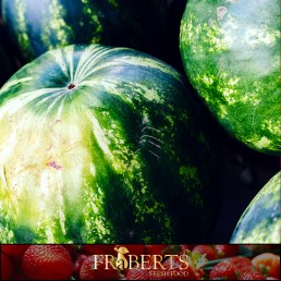 Watermelon